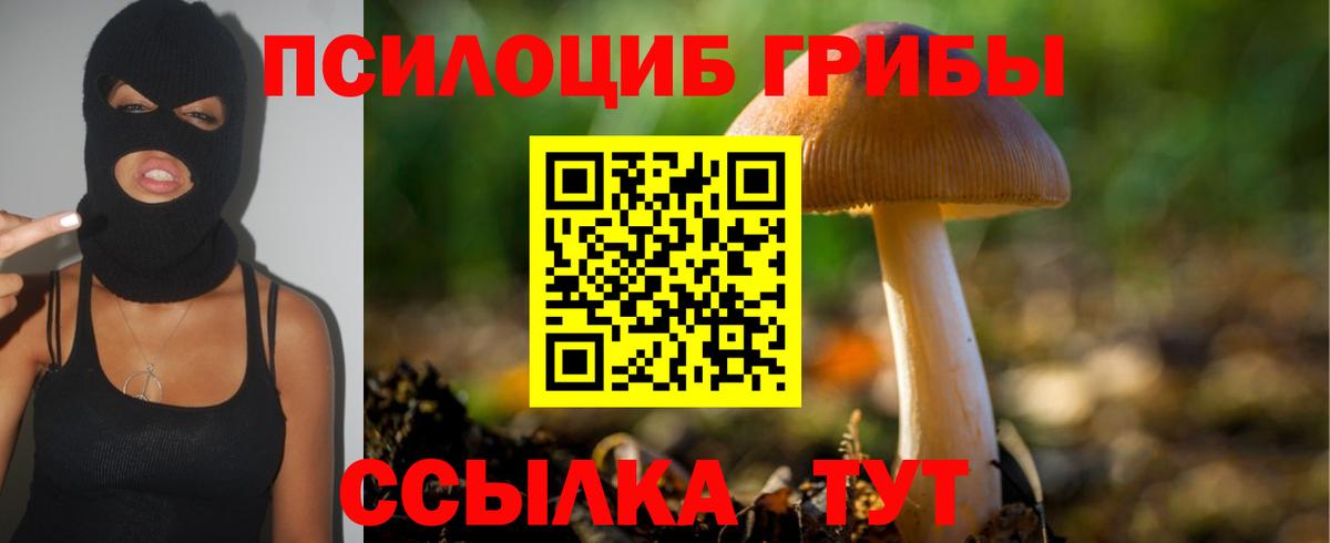 Псилоцибиновые грибы Psilocybine cubensis Рубцовск